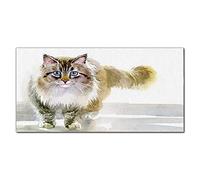 Coloray Splashback Kitchen 55.12 x 27.56 inch / 140x70cm Glass Print Glass Art Wall Picture Tempered Glass Cooker Protector Kitchen Protection - Pet Cat