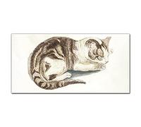 Coloray Splashback Kitchen 55.12 x 27.56 inch / 140x70cm Glass Print Glass Art Wall Picture Tempered Glass Cooker Protector Kitchen Protection - Pet Cat