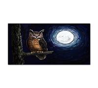Coloray Splashback Tempered Glass 39.37 x 19.68 inch / 100x50cm Glass Print Kitchen Protection Kitchen Glass Art Wall Picture Cooker Protector - Tree Branch Night Owl Moon