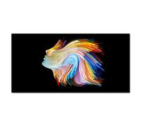 Coloray Splashback Tempered Glass 47.24 x 23.62 inch / 120x60cm Glass Print Kitchen Kitchen Protection Cooker Protector Glass Art Wall Picture - The Woman Graphics
