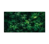 Coloray Splashback Tempered Glass 55.12 x 27.56 inch / 140x70cm Glass Print Kitchen Kitchen Protection Cooker Protector Glass Art Wall Picture - Floral Leaf Leaves