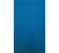 Colorcel A4 Film - Pale Blue (Pack of 25)