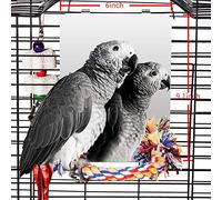 Colorday 9 inch Stainless Steel Bird Mirror with Rope Perch, Bird Toys Swing, Comfy Perch for African Grey Parakeet Cockatiel Conure Lovebird Finch Canaries
