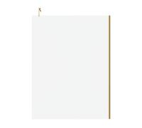 Colore 8mm Clear Glass Walk In Shower Screen including Wall Channel and Support Bar | Brushed Brass | Glass/Aluminium | 1850mm x 1400mm
