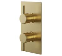 Colore Round Concealed Twin Thermostatic Shower Valve | Brushed Brass | 120mm x 215mm x 138.8mm
