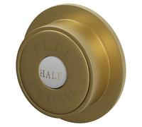 Colore Round Traditional Dual Flush Push Button | Brushed Brass | Plastic | 72mm x 72mm x 85mm
