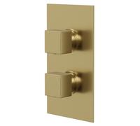 Colore Square Concealed Twin Thermostatic Shower Valve with Diverter | Brushed Brass | 120mm x 215mm x 47mm