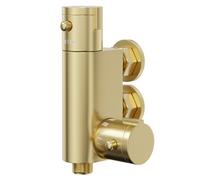Colore Vertical Thermostatic Bar Valve | Brushed Brass | 81mm x 163.7mm x 88mm