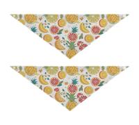 Colored Lemon Orange Pineapple Dog Bandanas Snap Button Dog Breed Bib Cute Pet Holiday Accessories Decor for Dogs Cats 2 Pack