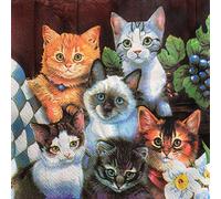 Colored Paper Napkins, 20 dig Shabby Chic Napkins for Wedding, Dinner Tea Party Shower Cocktail Napkins (Kitten)