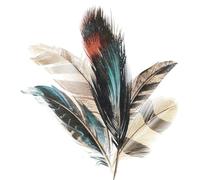 Colored Paper Napkins, 20 dig Shabby Chic Napkins for Wedding, Dinner Tea Party Shower Cocktail Napkins (Feather)