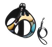 Colored Pebbles print Dog Harness and Leash Set, Reflective Adjustable Puppy Vest for Small Medium Large Dogs, Cats