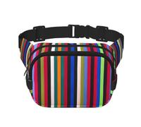 Colored Stripes Vertical Print Men Women Square Double Layer Waist Bag Outdoor Hiking Running Travel Commut