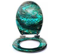 Colored Toilet Seat with Slow Close, Sunken Pirate Ship Illustration Teal Stained Glass Sails Artwork Resin Toilet Seats, Easy to Install, Easy to Clean Heavy Duty Deluxe Toilet Seat