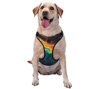 Colorful Aurora reflective Oxford unobstructed pet vest, easy to control handle, suitable for small, medium and large dogs