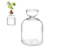 Colorful Avocado Seed Hydroponic Vase, Glass Avocado Sprout Planter Vase, Avocados Tree Propagation Container, Landscape Bottle for Water Plants Gardening Lovers Home Decor