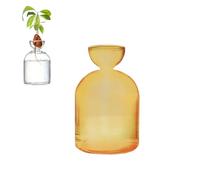 Colorful Avocado Seed Hydroponic Vase, Glass Avocado Sprout Planter Vase, Avocados Tree Propagation Container, Landscape Bottle for Water Plants Gardening Lovers Home Decor