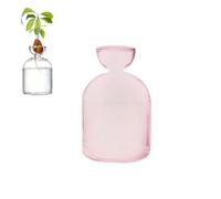 Colorful Avocado Seed Hydroponic Vase, Glass Avocado Sprout Planter Vase, Avocados Tree Propagation Container, Landscape Bottle for Water Plants Gardening Lovers Home Decor