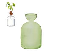 Colorful Avocado Seed Hydroponic Vase, Glass Avocado Sprout Planter Vase, Avocados Tree Propagation Container, Landscape Bottle for Water Plants Gardening Lovers Home Decor