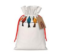 (Colorful Bird) Print Christmas New Year Candy Gift Bag, Red Xmas Ribbon Drawstring Bags for Kids Xmas Holiday Eve Presents M Size