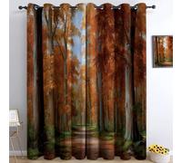 Colorful Blackout Eyelet Curtains, Nature Beautiful Autumn Leaves Path Printed Thermal Insulated Room Darkening Curtains for Bedroom Baby Nursery Living Room, W 29.5" x L 65" (2 Panels)