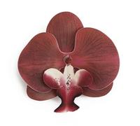 Colorful Blossom Floral Orchid Brooch Butterfly Orchid Flower sBarrette Flower Brooch Fashion Three-Dimensional Petal Barrette Jewelry for Women, Metal, no gemstone