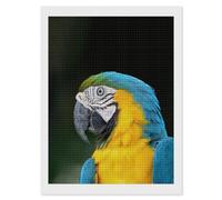 Colorful Blue and Gold Macaw Aviary Diamond 5D Painting Number Kits Beginners DIY Full Drill Diamonds Paintings Home Wall Decor 12"x16"