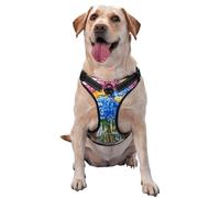 Colorful Bouquet Of Hydrangeas Clear Glass Vase No Pull Dog Harness Adjustable Reflective Oxford Easy Control Medium Large Dog Harness