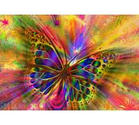 Colorful Butterfly