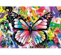 Colorful Butterfly