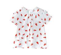 Colorful Butterfly Compact Pet Suspender Vest-The Perfect Small Pet For A Comfortable Walk