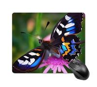 Colorful Butterfly Mouse Pad - Non-Slip Rubber Base Ultra-Thin Desk Mat Waterproof & Portable Mousepad for Gaming, Office, Design 18 * 22cm
