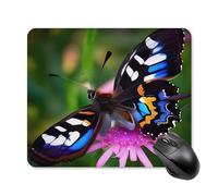 Colorful Butterfly Mouse Pad - Non-Slip Rubber Base Ultra-Thin Desk Mat Waterproof & Portable Mousepad for Gaming, Office, Design 25 * 30cm