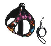Colorful Butterfly Print Dog Harness with Leash Set with Thickened Padded Vest for Extra-Small/Small Medium Dogs