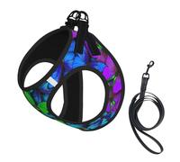Colorful Butterfly Print Pet Leash Vest,Breathable Mesh Pet Harness, Reflective For Small Medium Dogs Safe Easy Walking