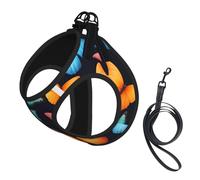 Colorful Butterfly Print Step in Dog Harness and Leash Set,Adjustable Reflective Harness for Small Dogs Cats