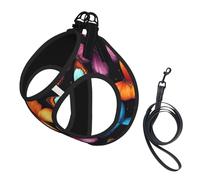 Colorful Butterfly Print Step in Dog Harness and Leash Set,Adjustable Reflective Harness for Small Dogs Cats