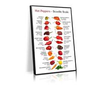Colorful chili peppers decorative poster with different spiciness scale, suitable for kitchen wall art, education, office wall decor(L36 xW24-Framed)