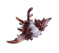 Colorful Conch Charm Hairpin， Strong-Grip Hair Clip for Vacation & Daily Use with Design Resort Styles Hair Accessories