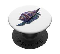 Colorful Cone Snail Ocean Shell Marine Animal Abstract Art PopSockets Adhesive PopGrip