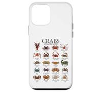 Colorful Crab Species - Crabs Case for iPhone 12 mini