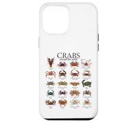 Colorful Crab Species - Crabs Case for iPhone 12 Pro Max
