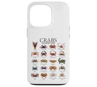 Colorful Crab Species - Crabs Case for iPhone 13 Pro