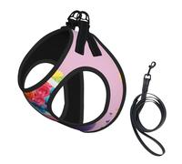 Colorful Cupcakes Rainbow Flower Cake Print Dog Harness with Leash Set with Thickened Padded Vest for Extra-Small/Small Medium Dogs