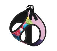 Colorful Cupcakes Rainbow Flower Cake Print Pet Leash Vest,For Small Dogs,Adjustable And Comfortable Cat Puppy Essentials