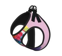 Colorful Cupcakes Rainbow Flower Cake Print Pet Leash Vest Reflective Adjustable Soft Mesh Vest Breathable For Daily Walks