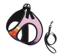 Colorful Cupcakes Rainbow Flower Cake Print Step in Dog Harness and Leash Set,Adjustable Reflective Harness for Small Dogs Cats