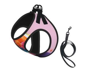 Colorful Cupcakes Rainbow Flower Cake Print Step in Dog Harness and Leash Set,Adjustable Reflective Harness for Small Dogs Cats