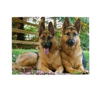 Colorful Cute Pet German Shepherd Dog,500 Pieces Puzzles for Adults-Wooden Jigsaw Puzzle for Adults Elderly
