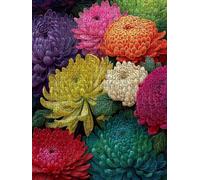 Colorful Dahlia Jigsaw Puzzle 2000 Piece, Puzzles for Adults 2000, The Impossible Challenge, Jigsaw Puzzle Games Classic Educational, Wooden Puzzles, for Home Wall Decoration Gift FNKL1-90